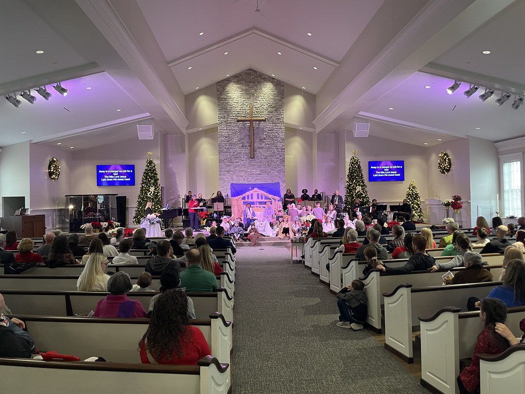 54224644927_65547d0dfd_b-1